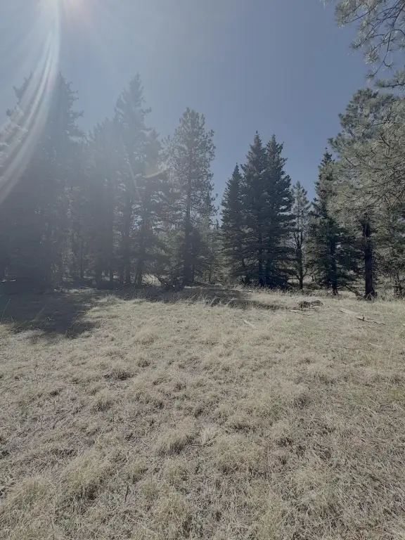 Picture 3