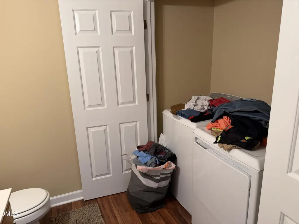 Picture 24