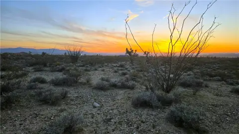 Vacant Land Parcel in Yucca
