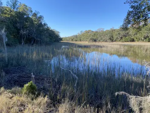 Yonges Island Marsh View Property