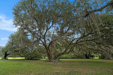 Buildable Land in Meggett, SC