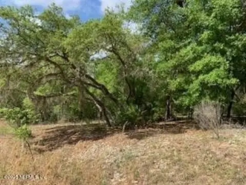 Wooded Lot in Interlachen, FL