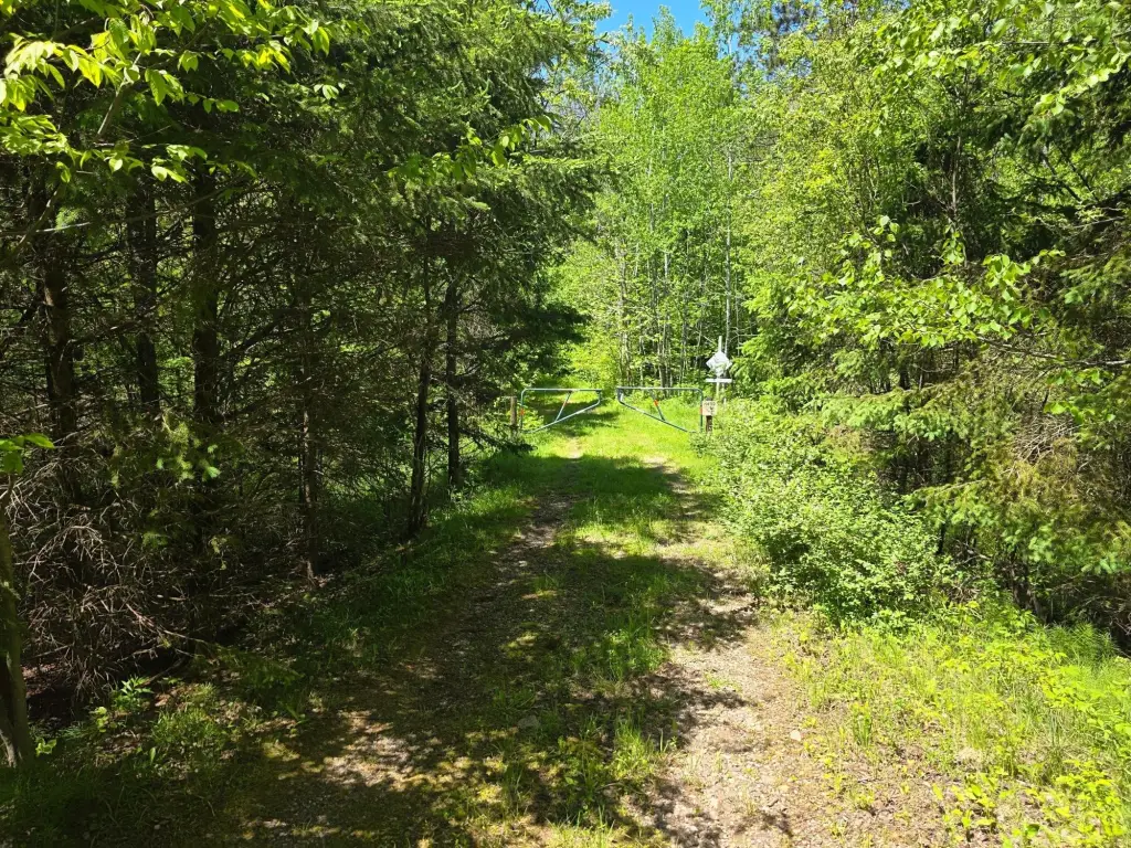 Picture 20