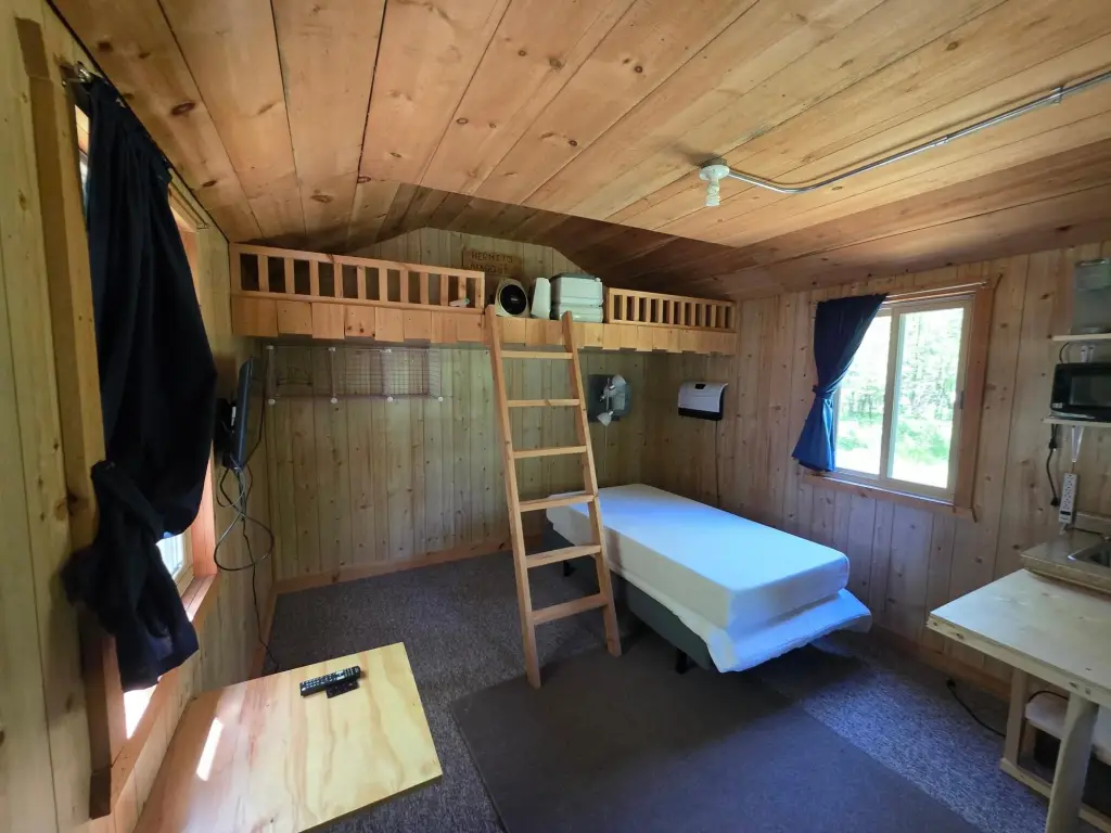 Picture 6