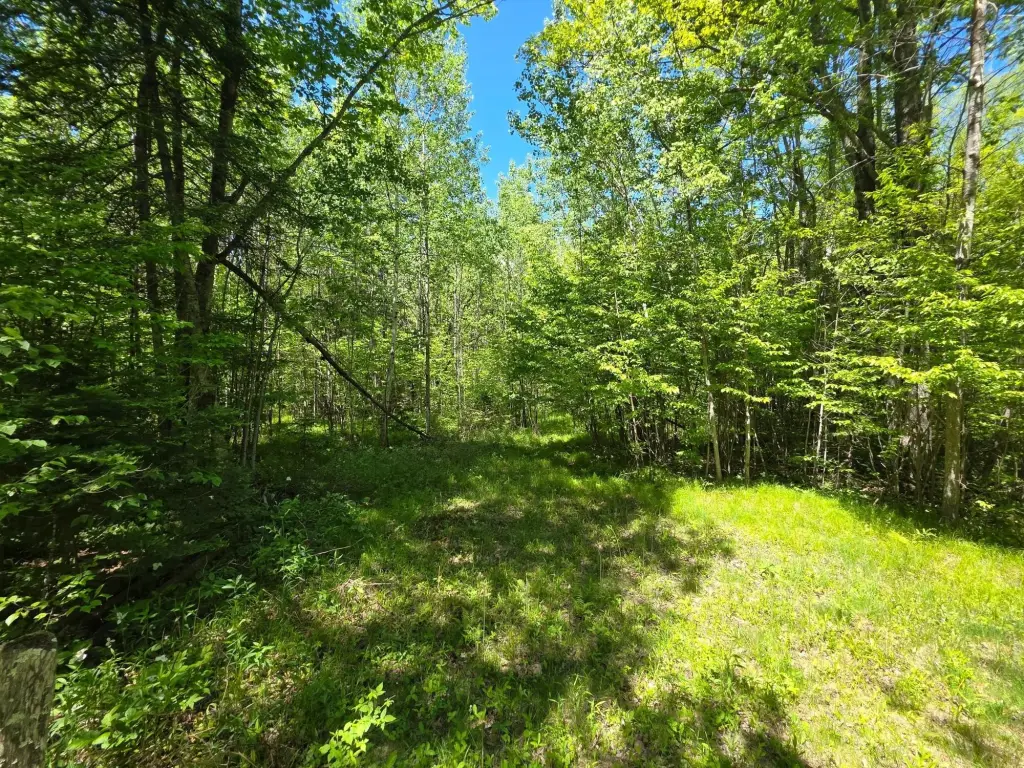 Picture 28