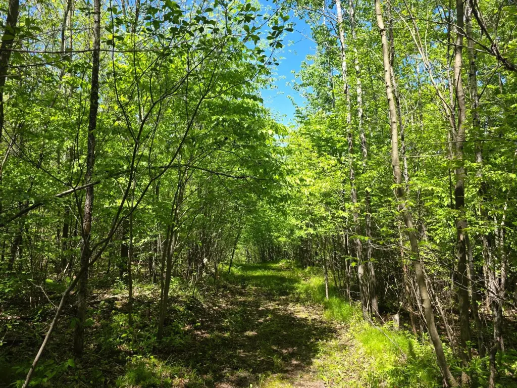 Picture 33