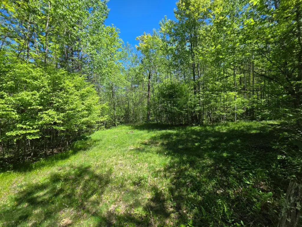 Picture 29