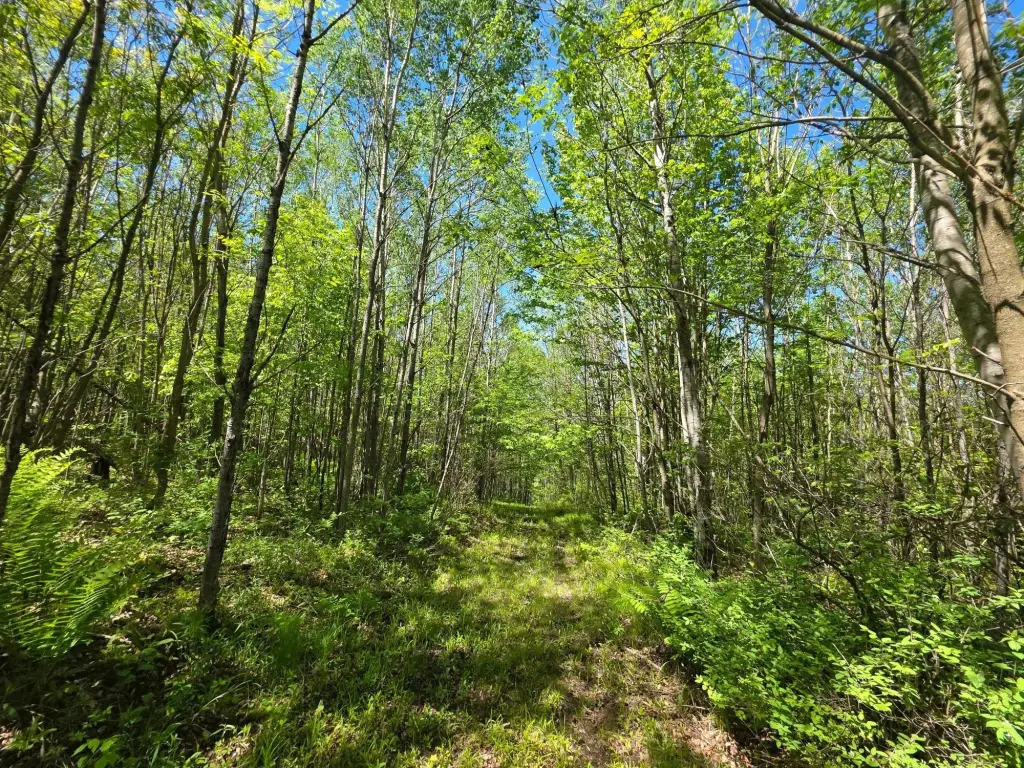 Picture 43