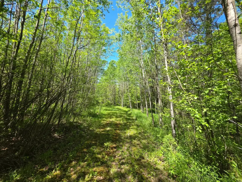 Picture 45