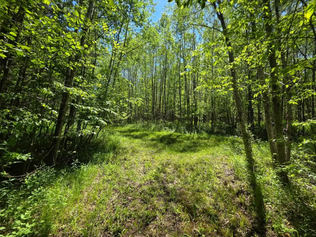 Picture 26