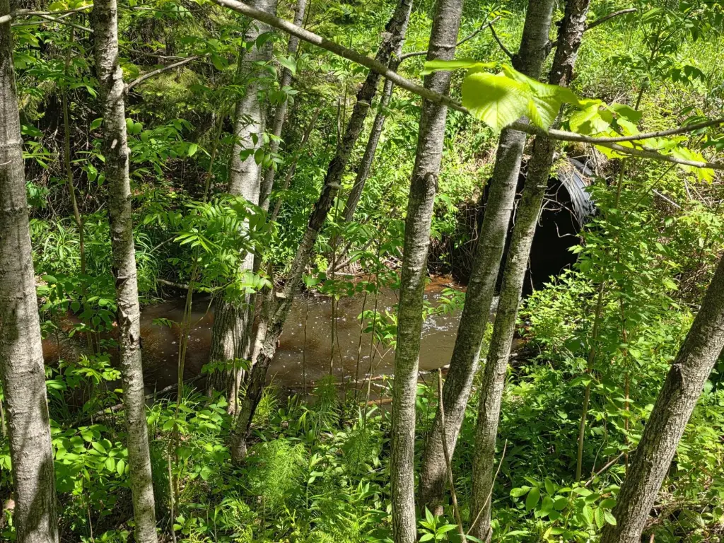 Picture 19