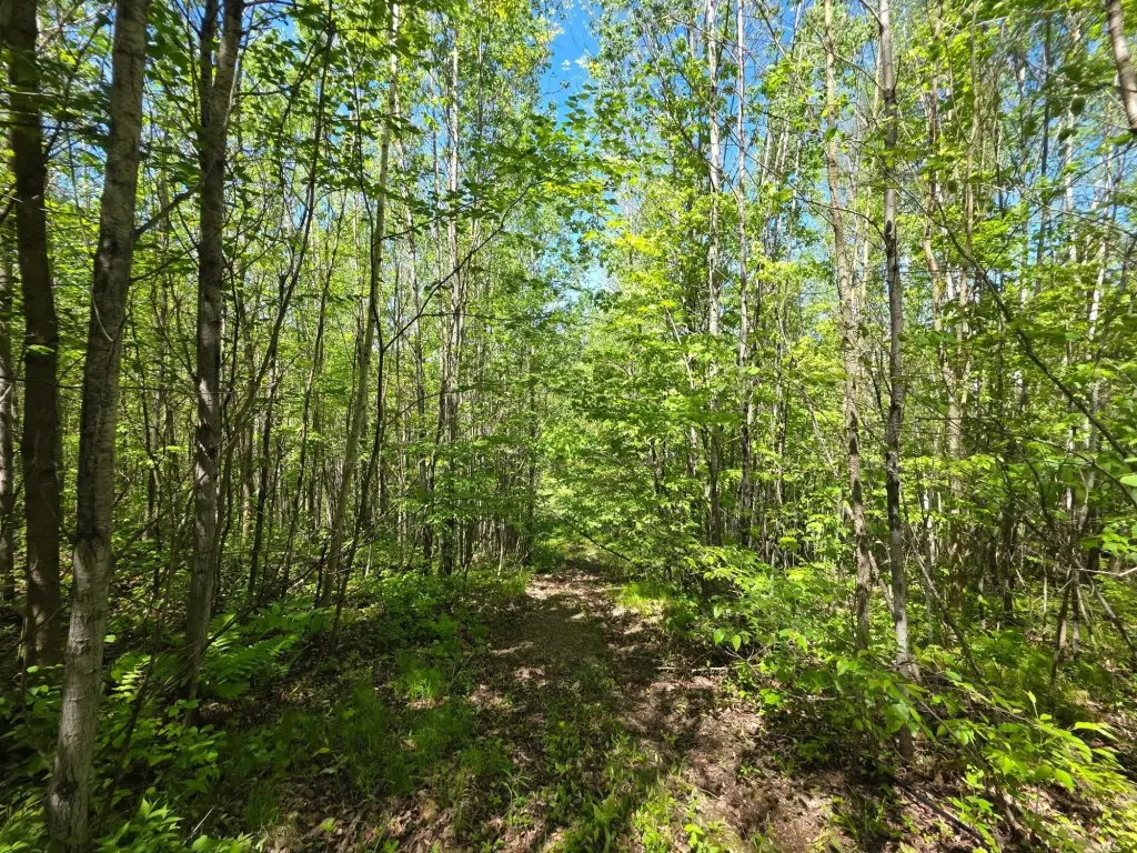 Picture 36