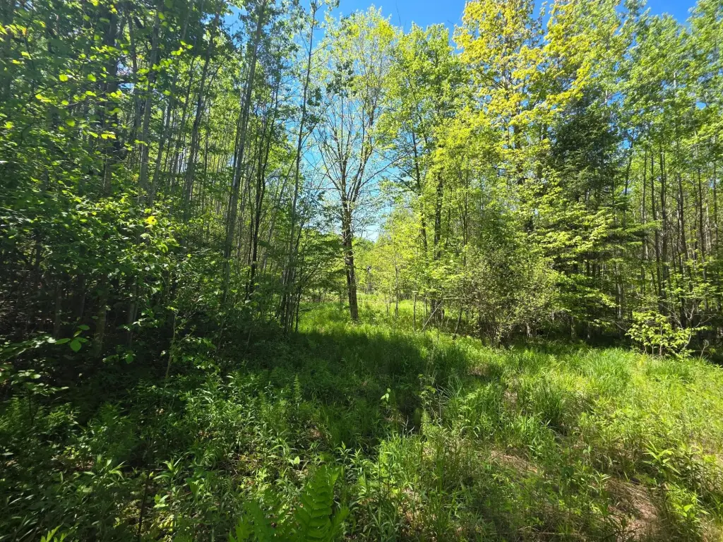 Picture 30