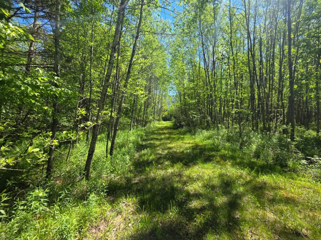 Picture 25