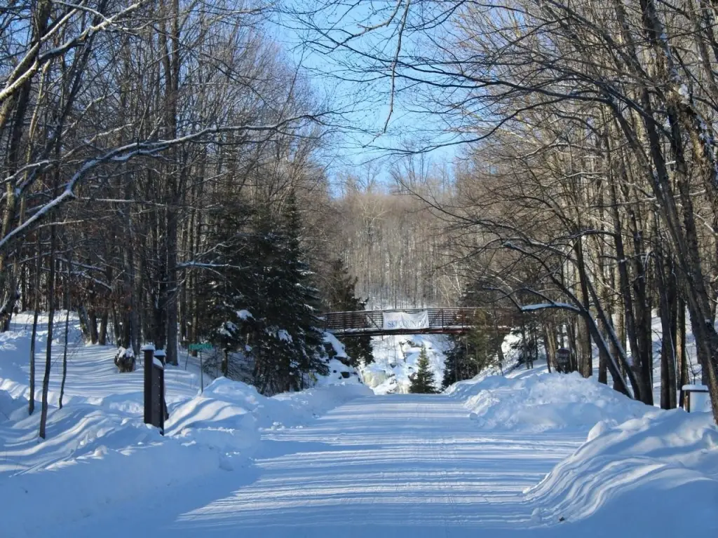 Picture 13