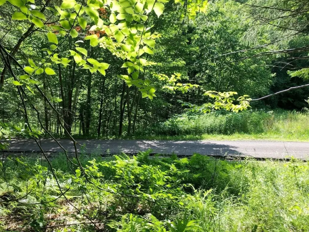 Picture 17