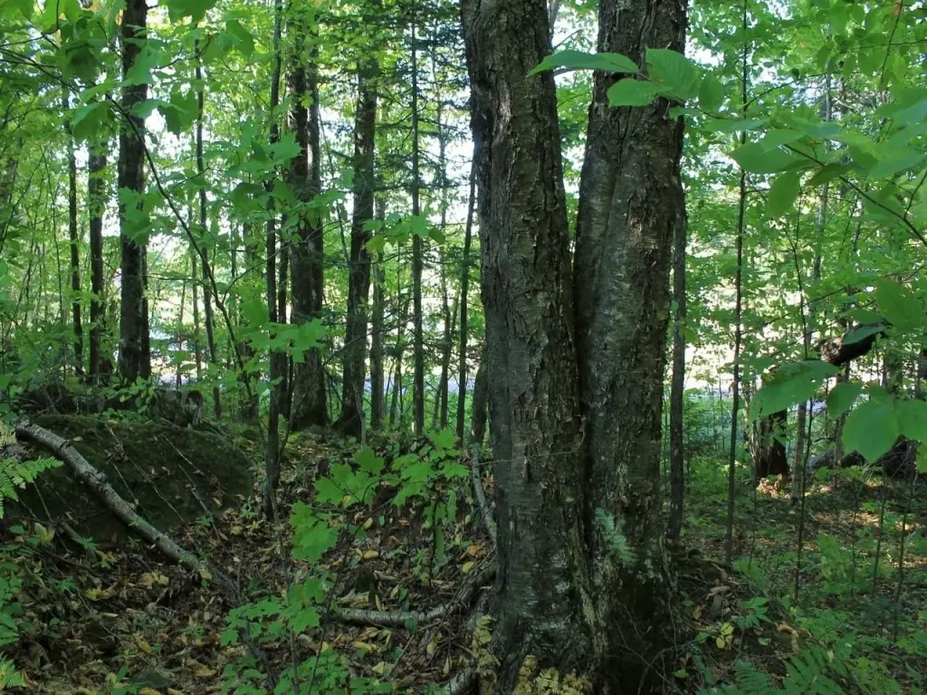 Picture 22