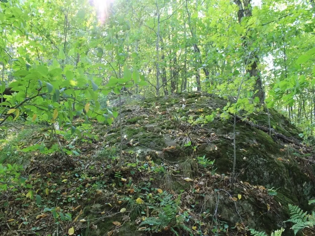 Picture 12