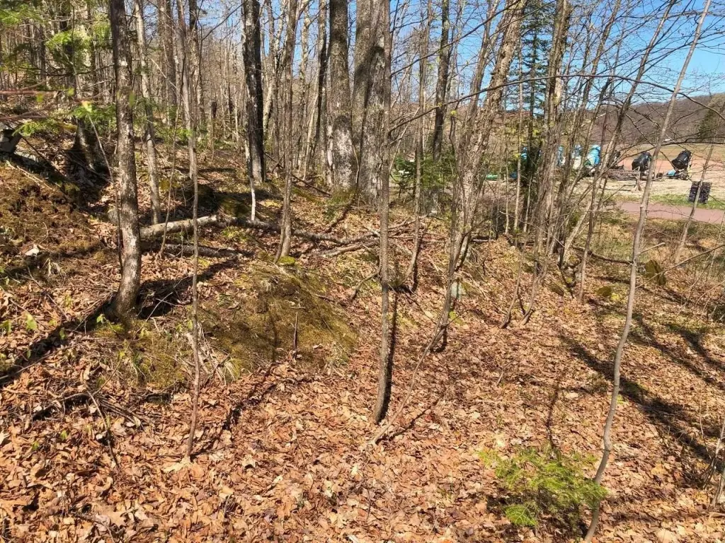 Picture 18