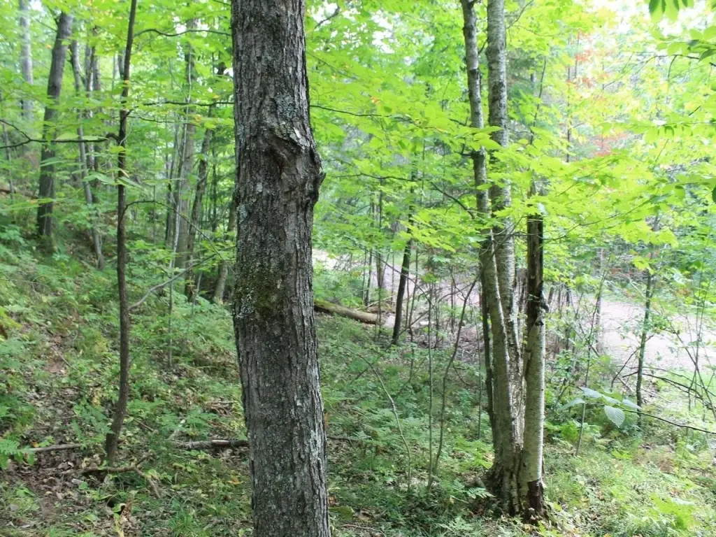 Picture 2