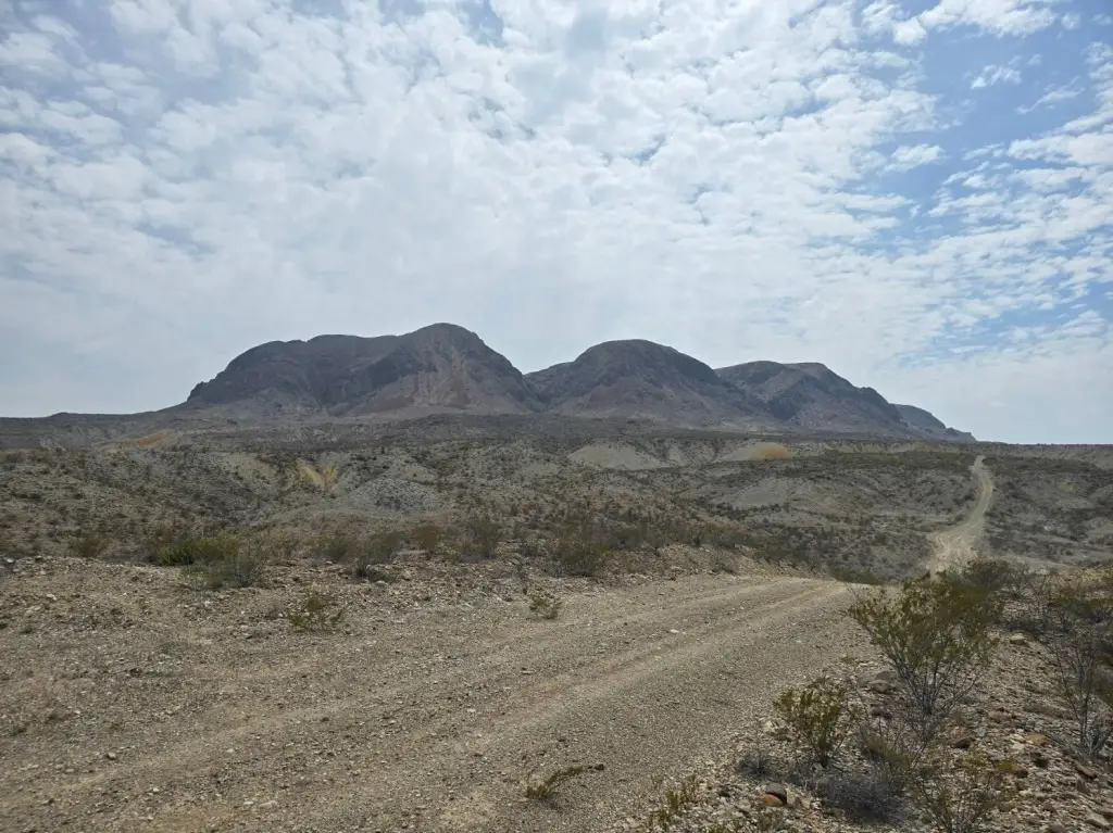 Picture 9