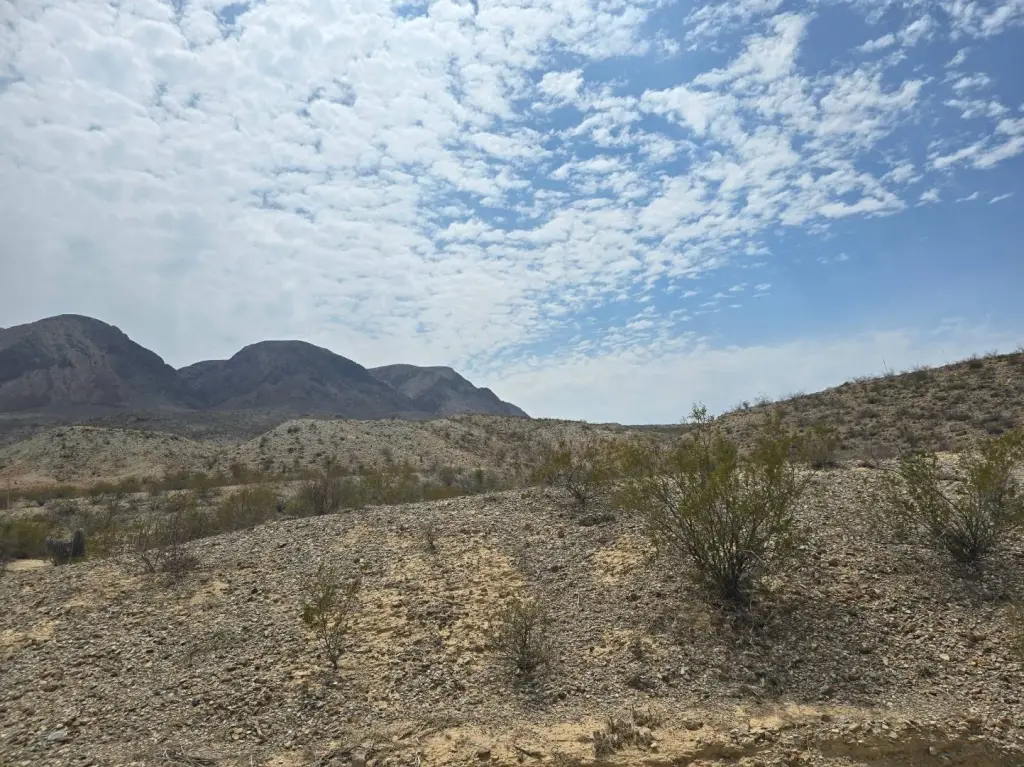 Picture 16
