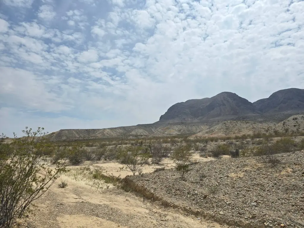 Picture 15