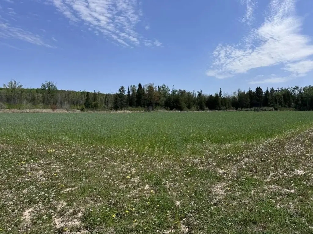 Picture 23