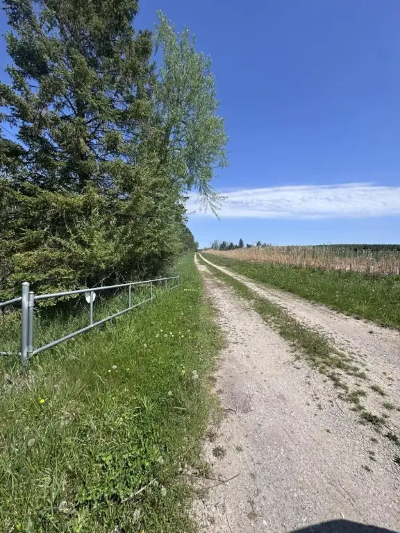 Picture 6