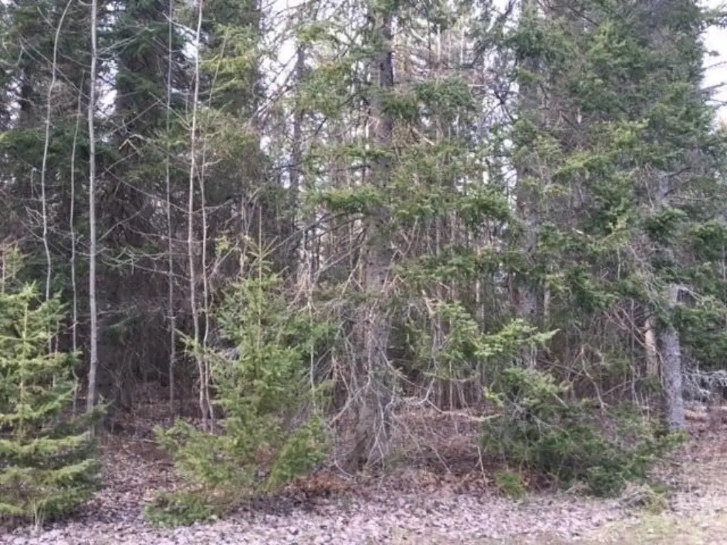 Picture 27