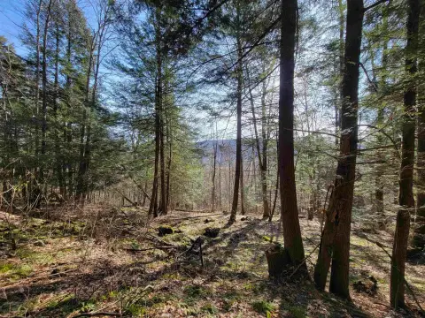 Vermont Land For Sale