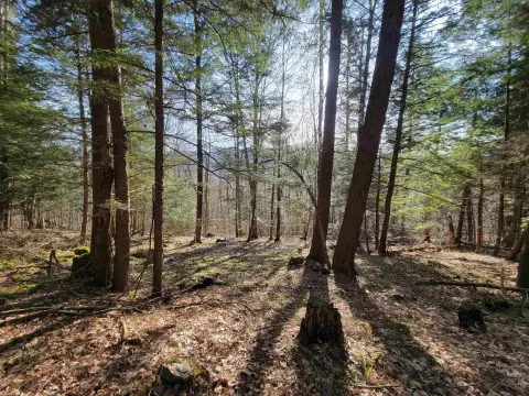 Vermont Land Parcel For Sale