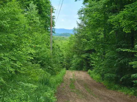 Vermont Land Ready For Building