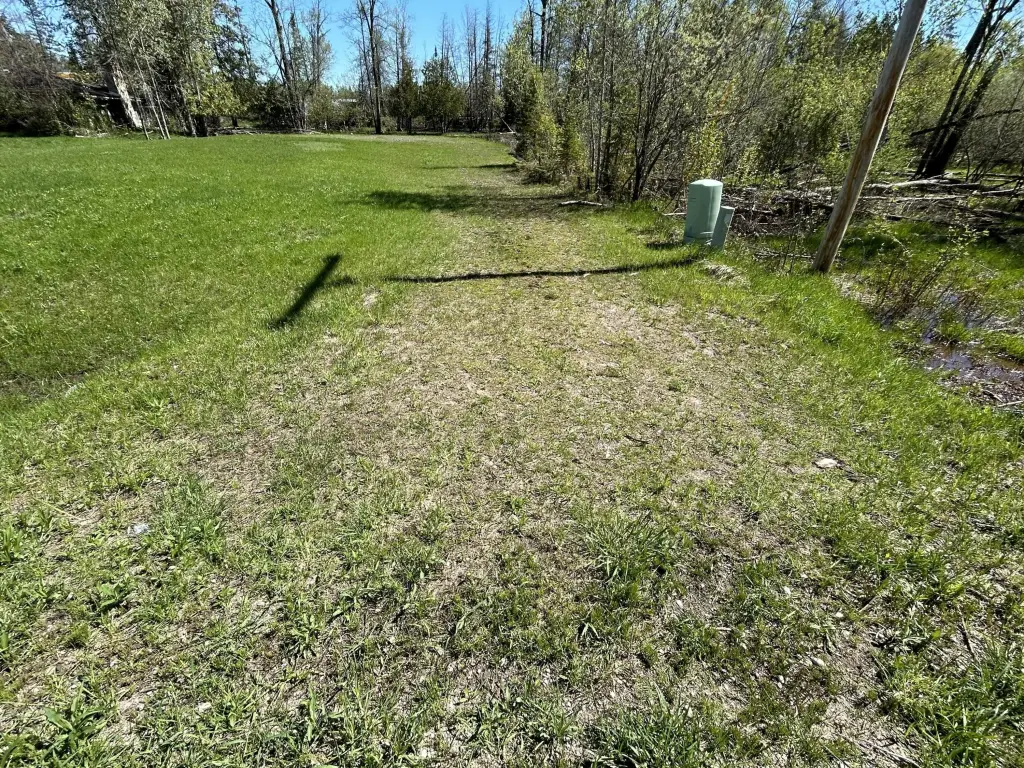 Picture 9