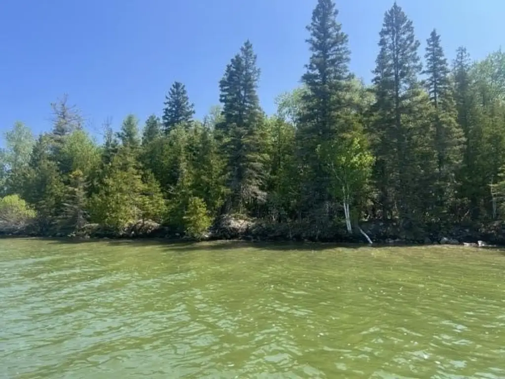 Picture 14
