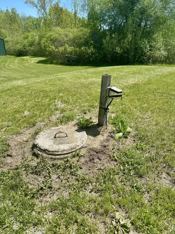 Picture 21