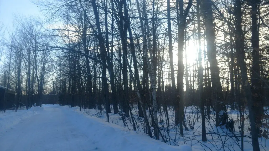 Picture 21