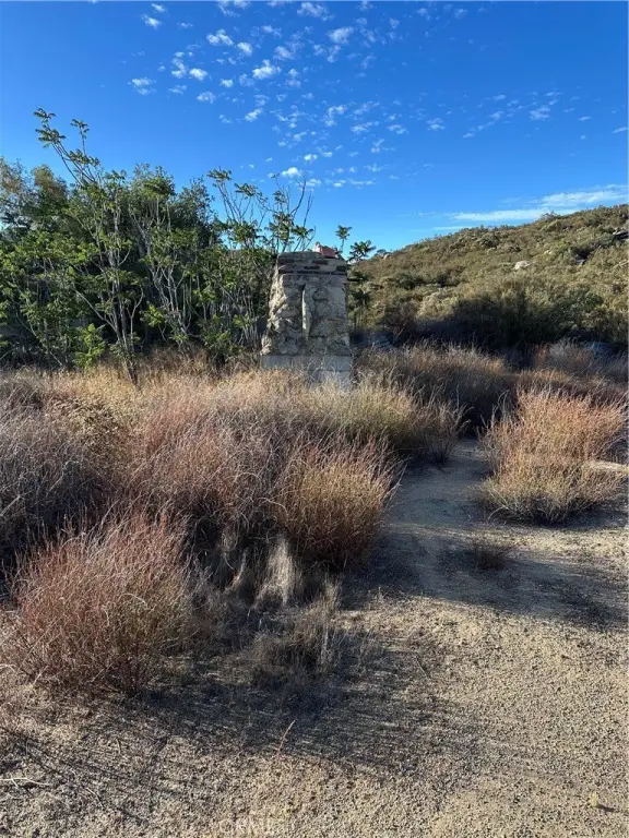 Picture 19