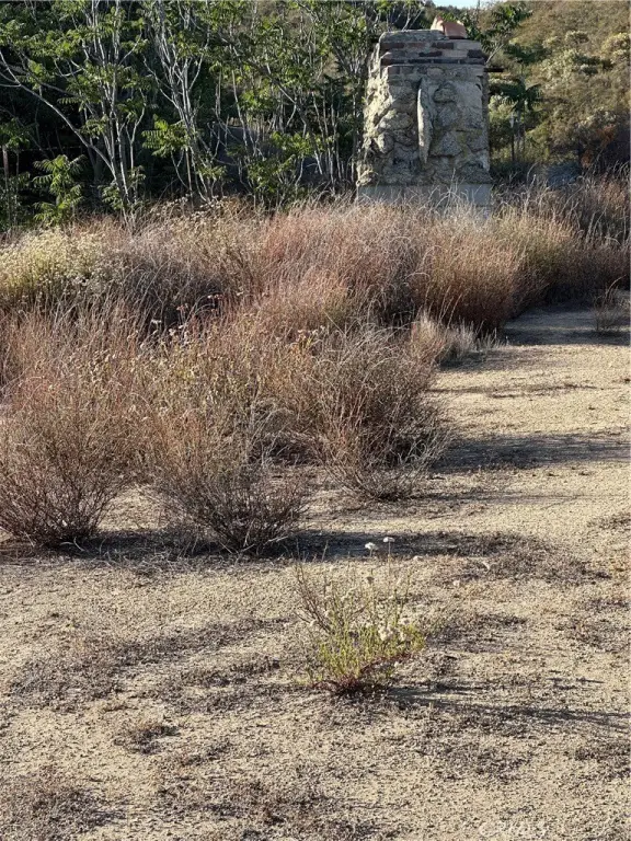 Picture 9