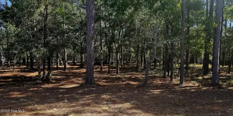 Wooded Lot in Gated Community
