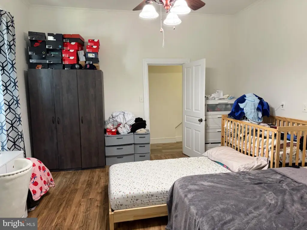 Picture 17