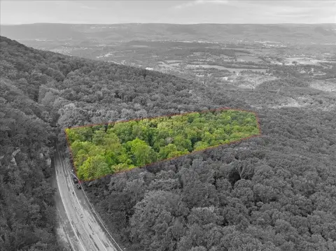8-Acre Wooded Land Near Chattanooga