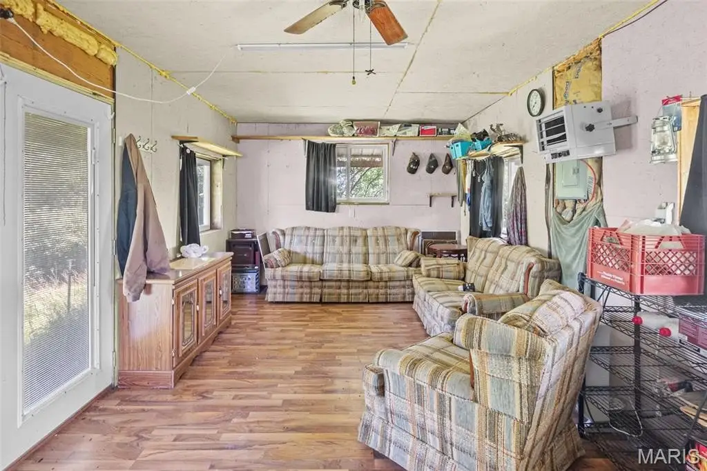 Picture 8