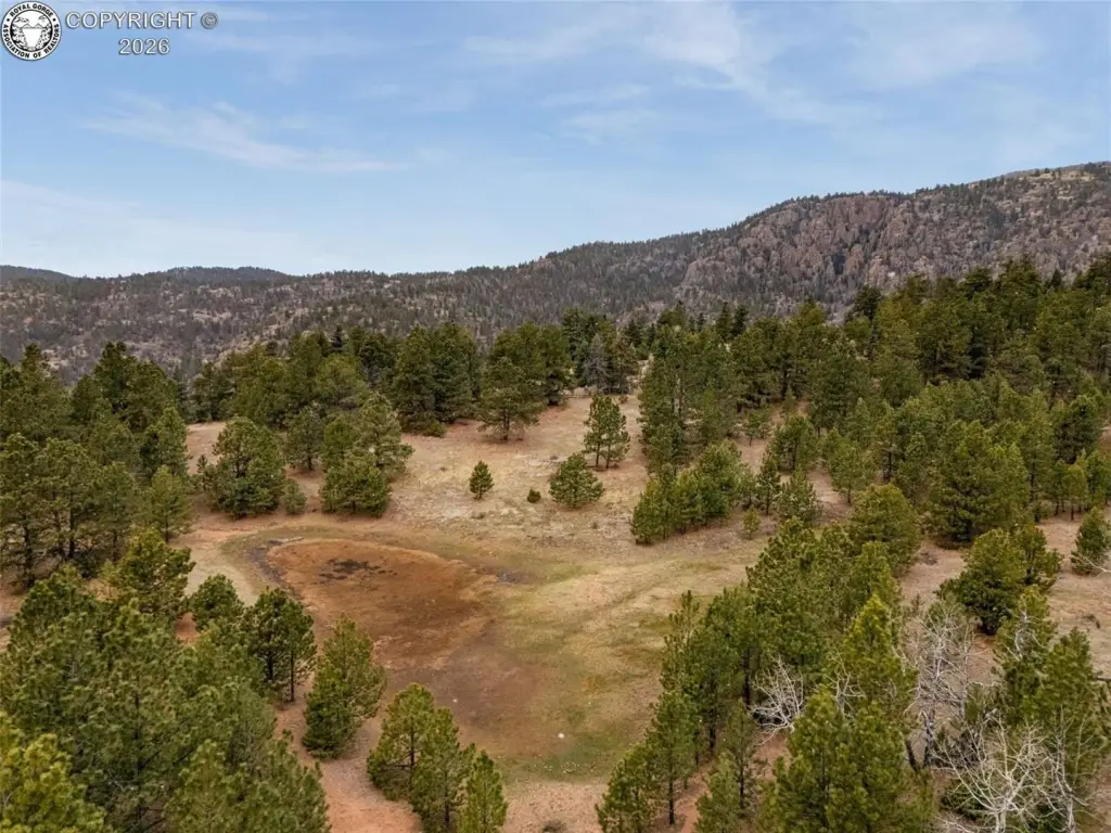 Picture 12