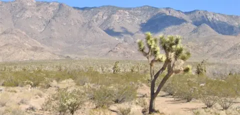 Meadview Land with Glorious Views