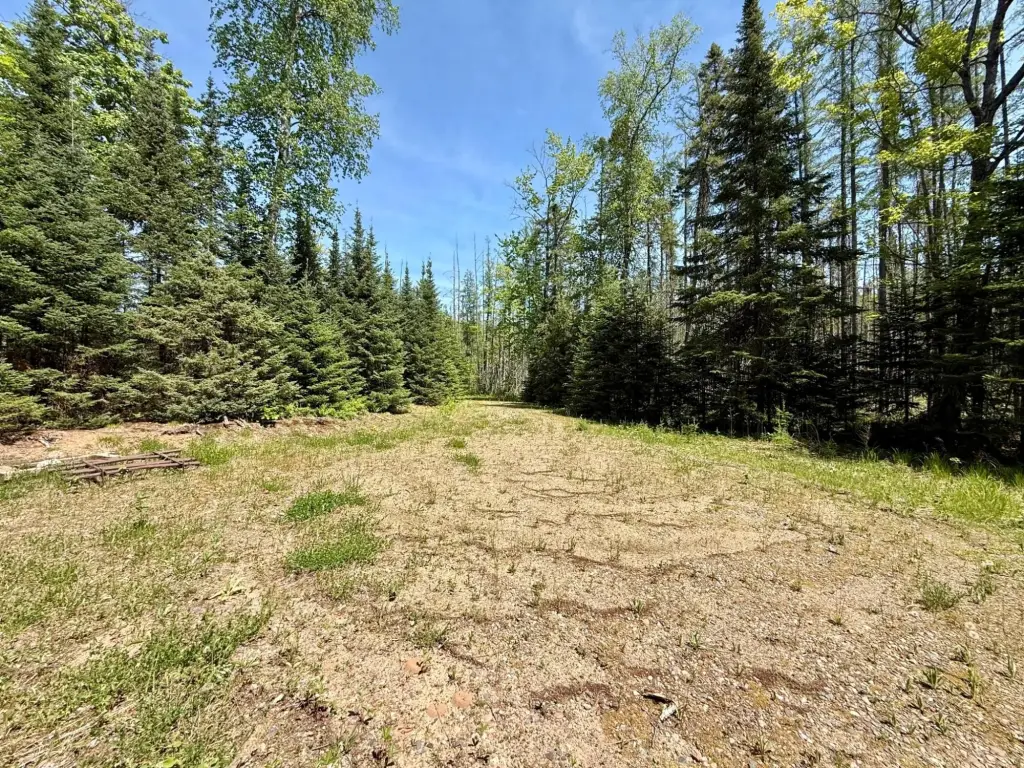 Picture 6