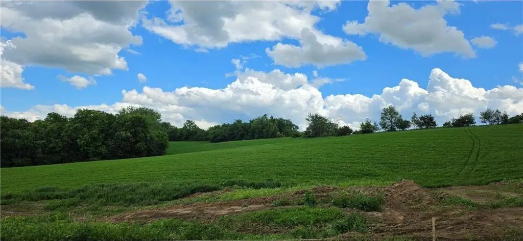 Picture 10