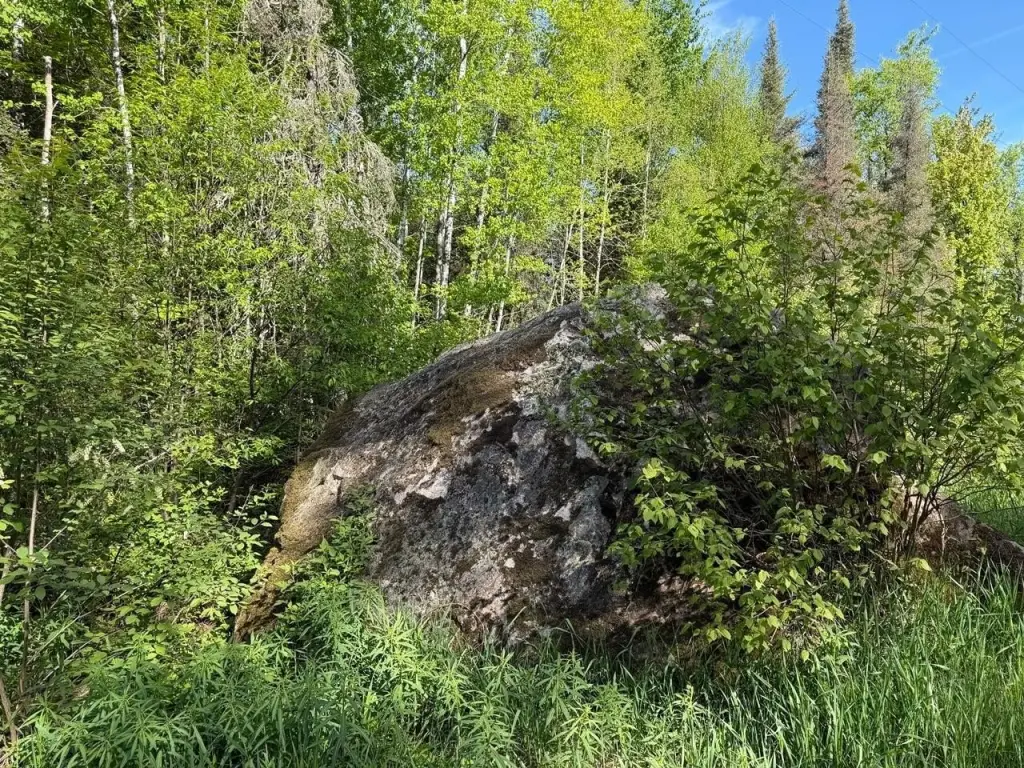 Picture 5