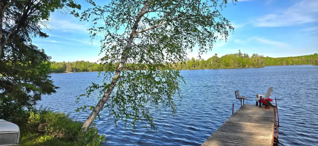 Picture 9