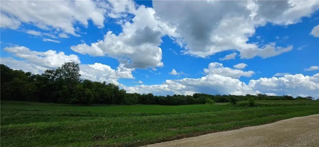 Picture 8